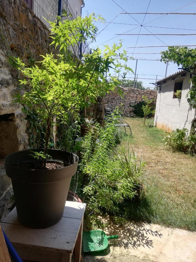 Apartmán Old Istrian House,Free Parking Galižana Exteriér fotografie